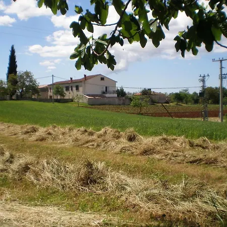 Tudari 2175 Žminj